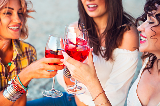 Female friends Wine Tasting